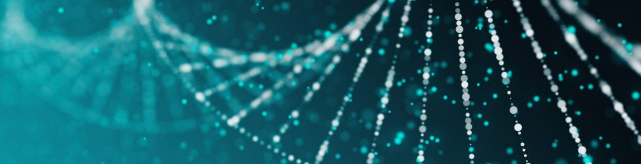 UAE Legal Update – Regulatory Alert (2) Healthcare & Data Privacy